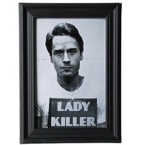 Serial killer Ted Bundy lady killer art creepy scary horror crime framed print